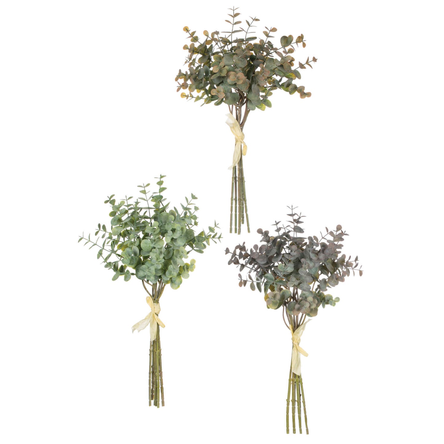 Eucalyptus Bundles | Set of 3