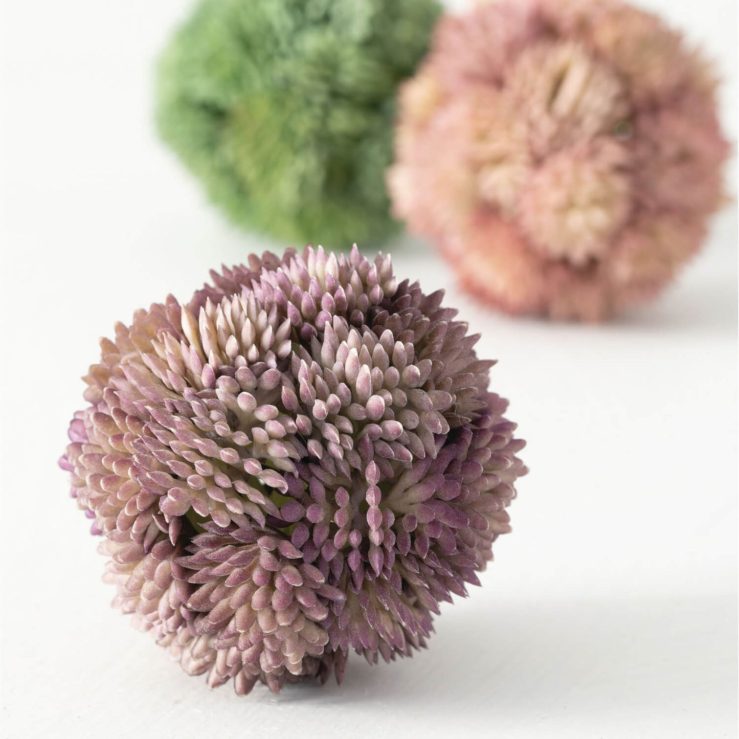 Sedum Orb | Set of 3