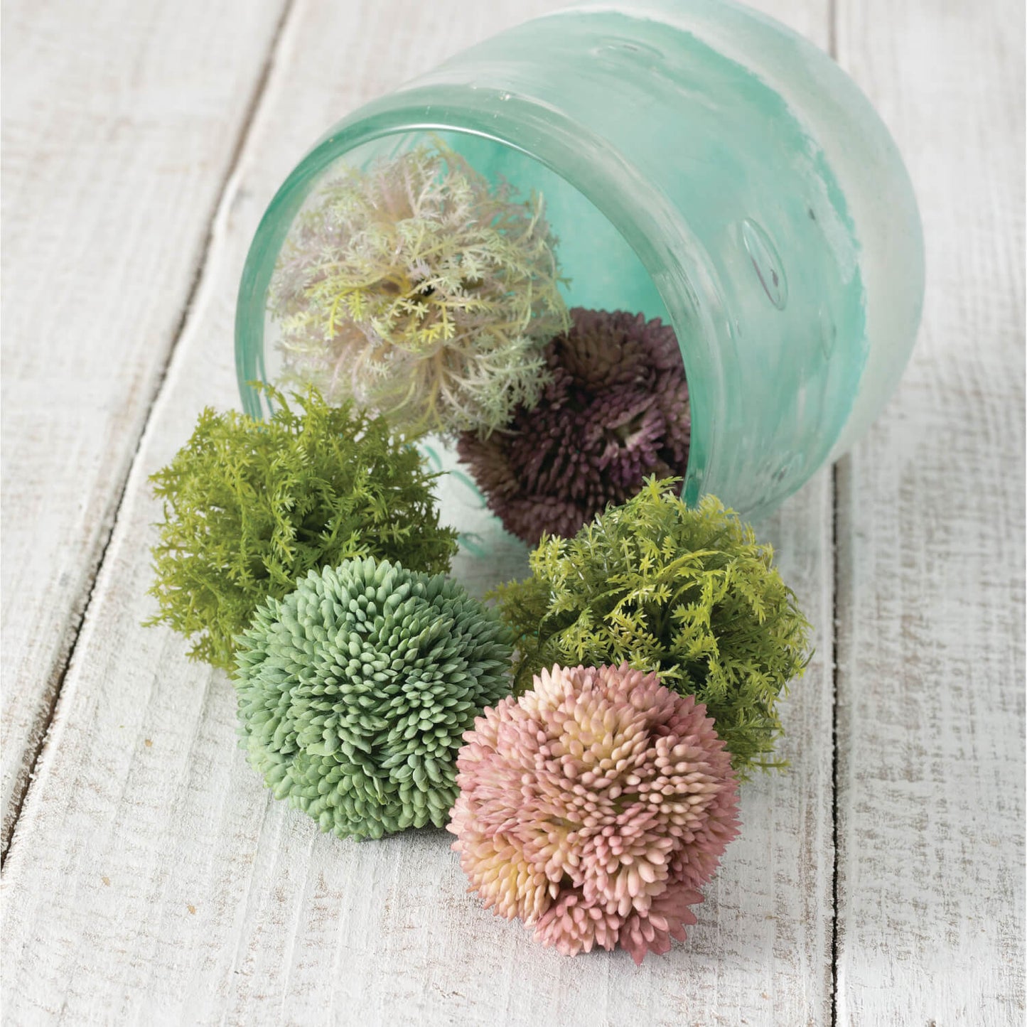Sedum Orb | Set of 3
