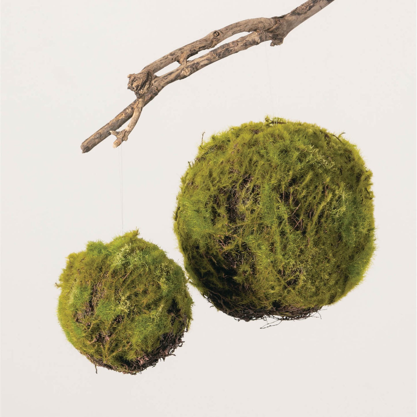 Moss Orb | Set of 2