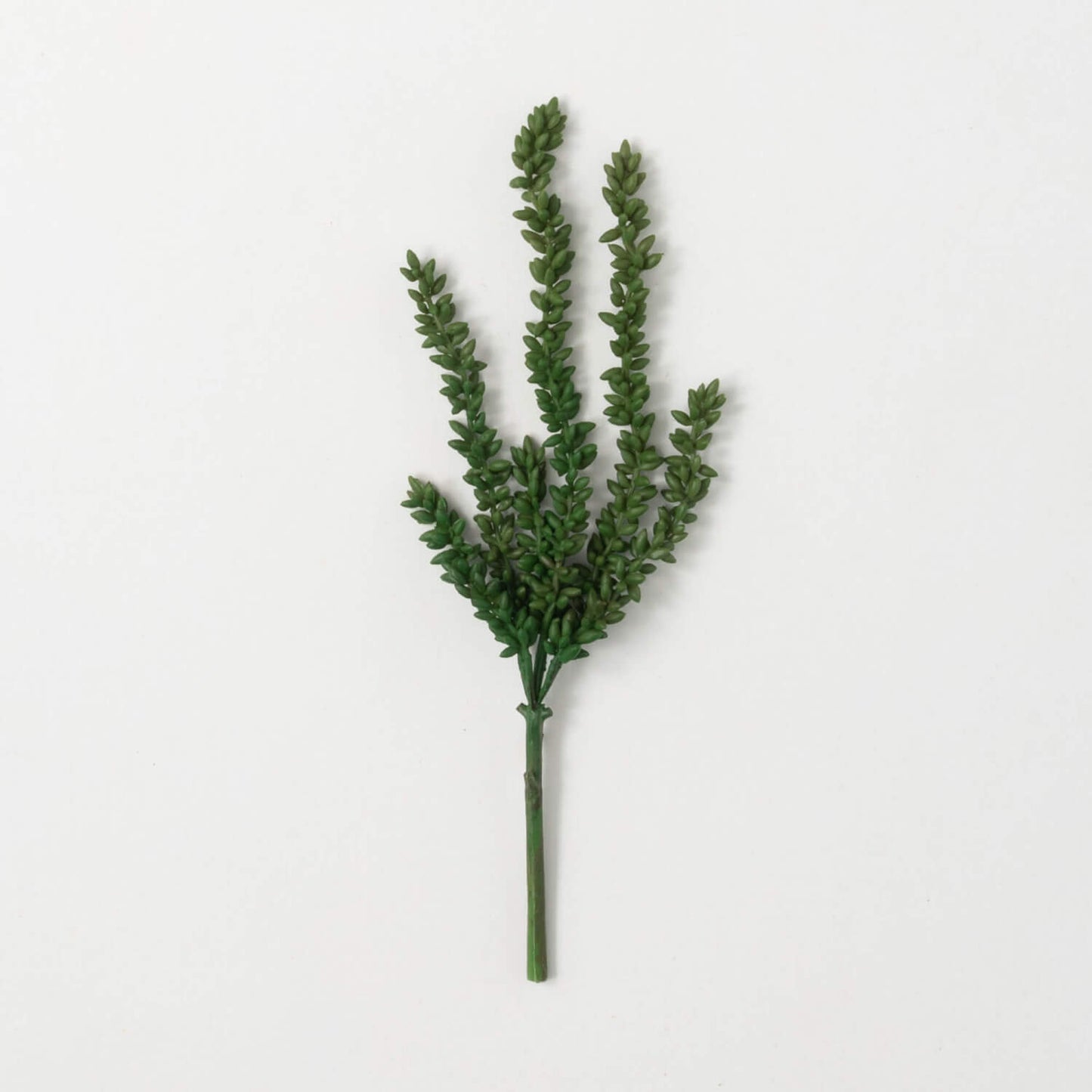 Succulent Hanging Vine Bush