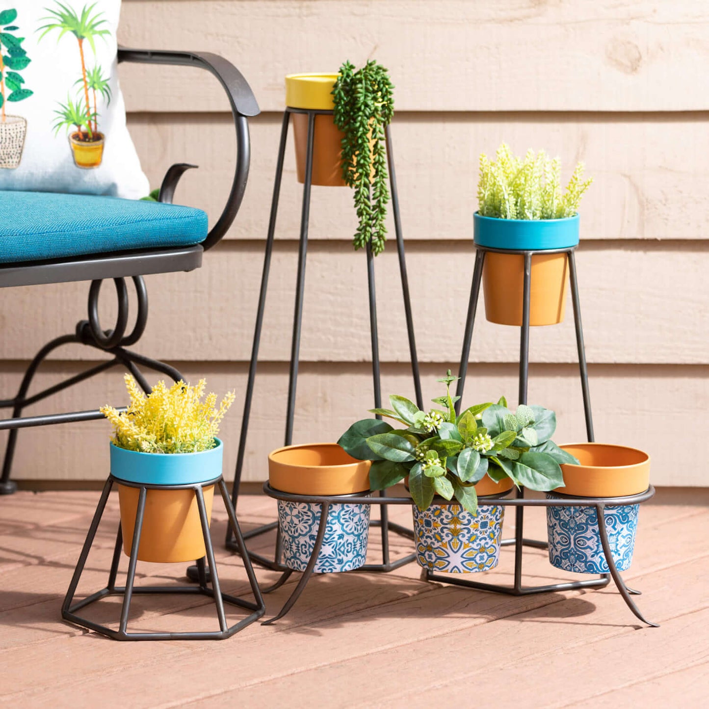 Succulent Hanging Vine Bush