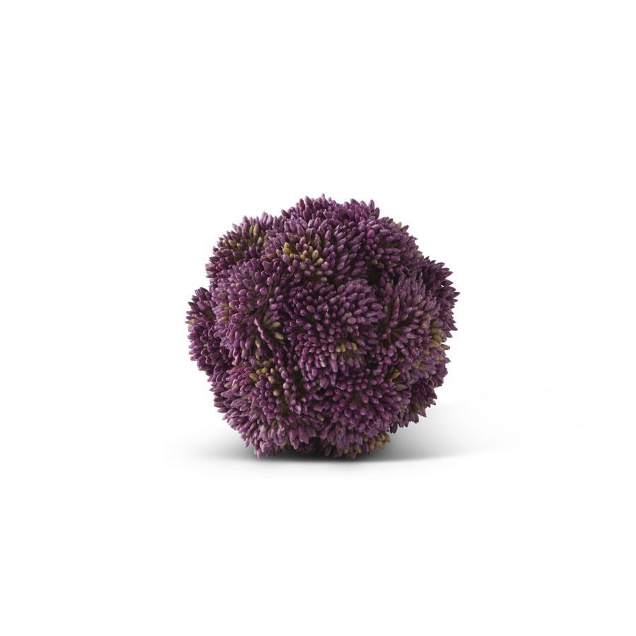 Sedum Ball | 4" | Dark Purple