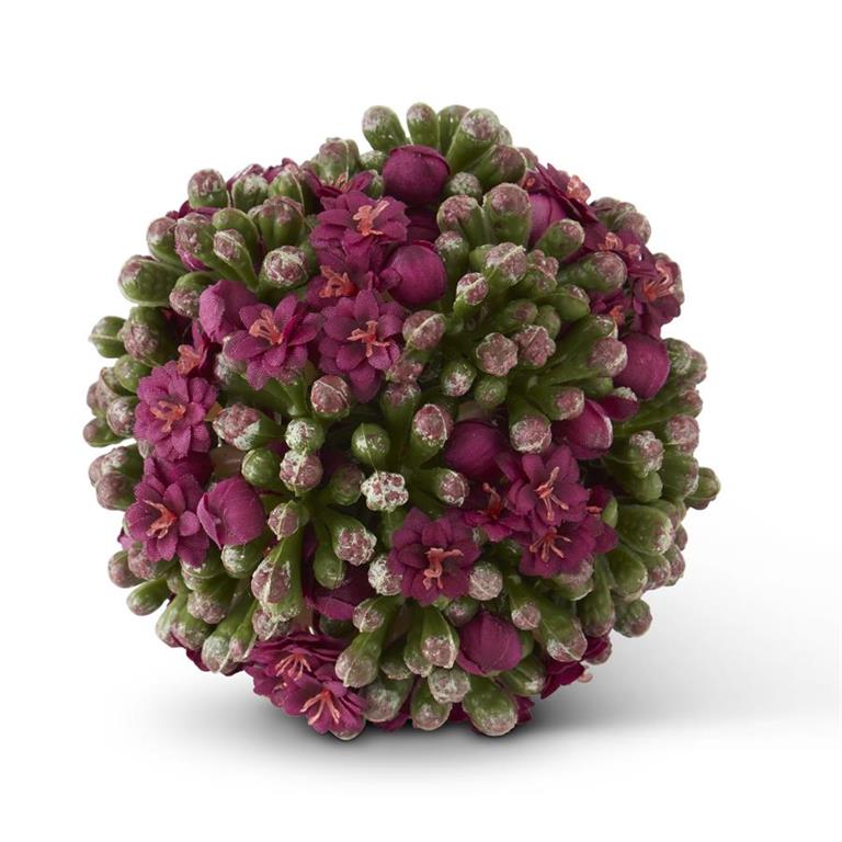 Kalanchoe Ball | 4" | Purple