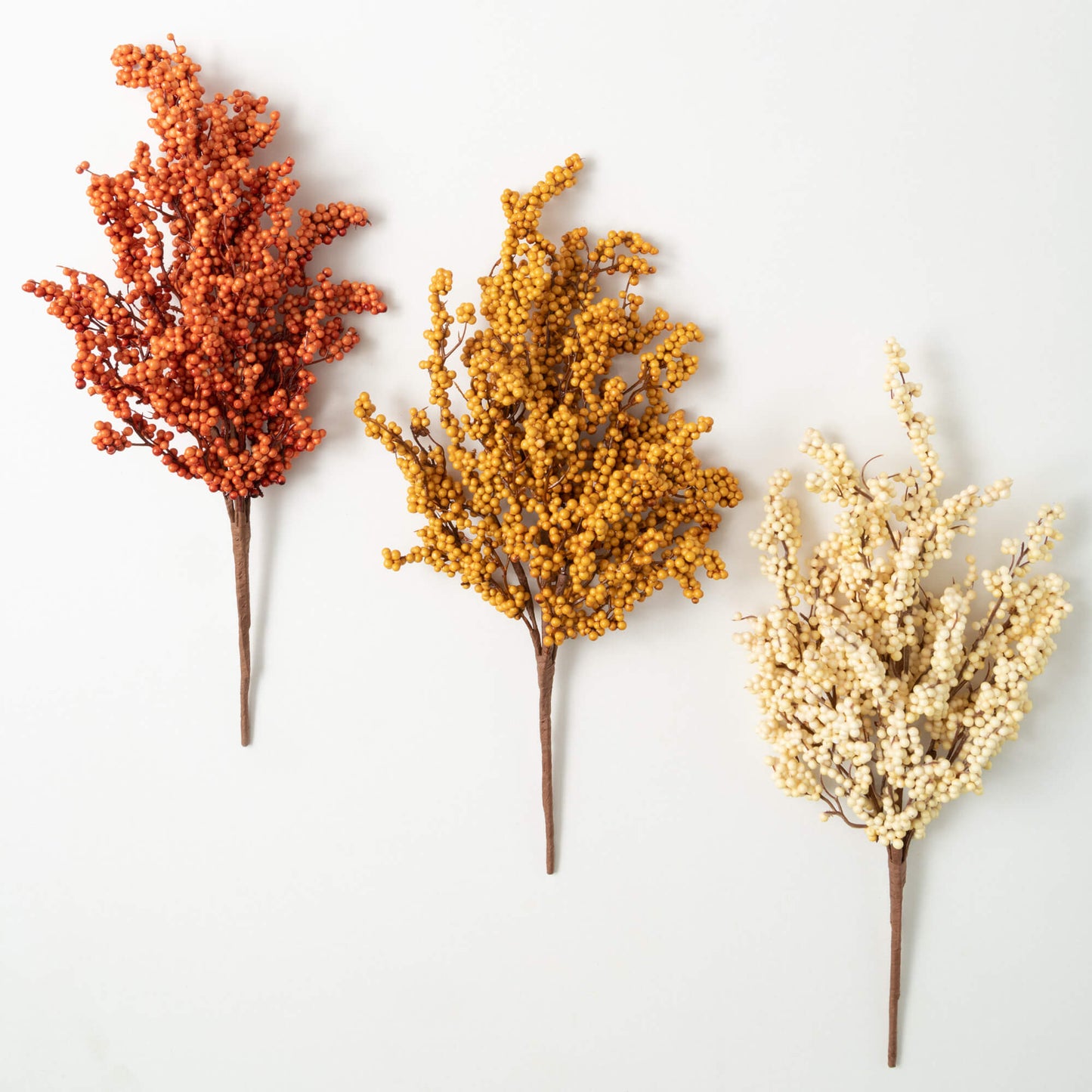 Berry Bush | Set of 3