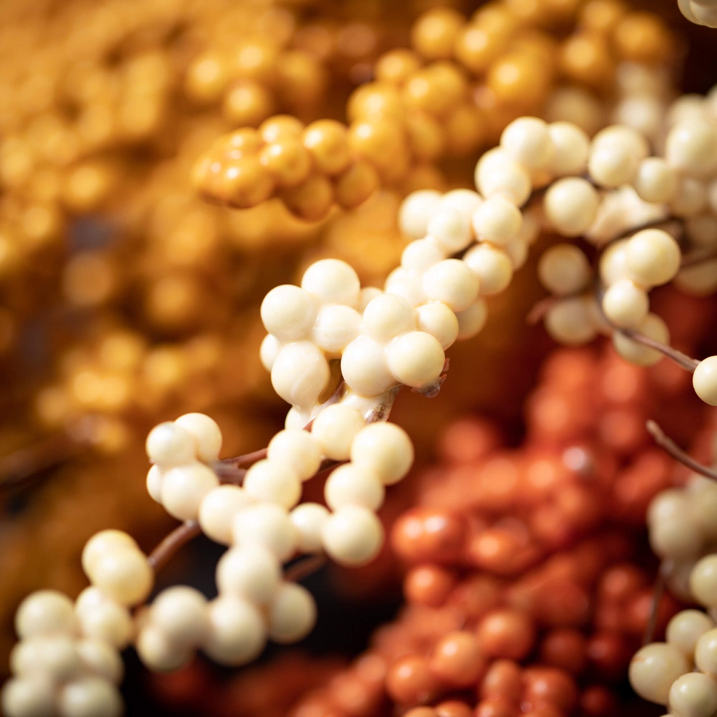 Berry Bush | Set of 3