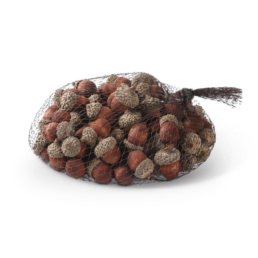 Bag of Acorns | 75 count | Brown
