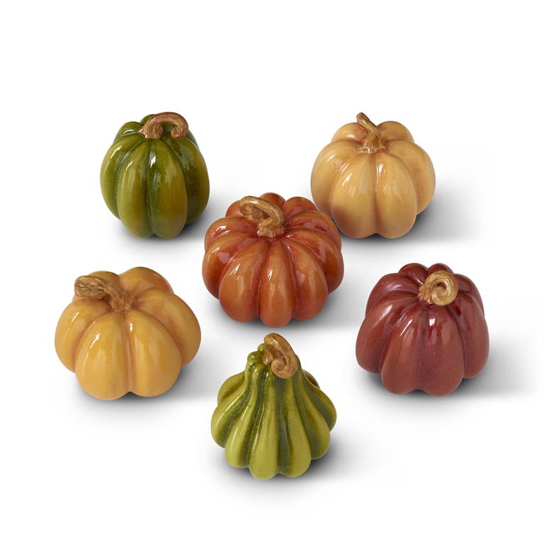 Assorted Fall Colored Mini Pumpkins | Set of 6