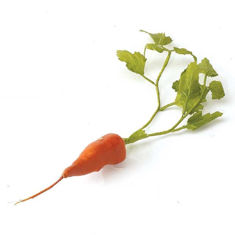 13” Orange Short Carrot