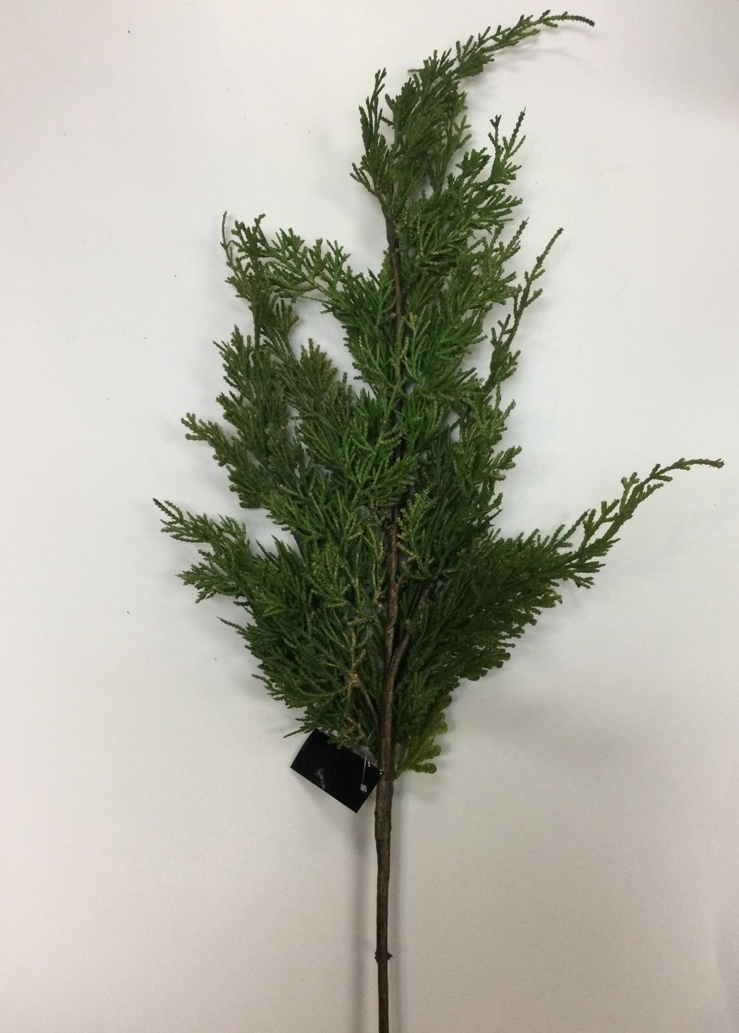 16" Real Touch Cypress Pine Branch