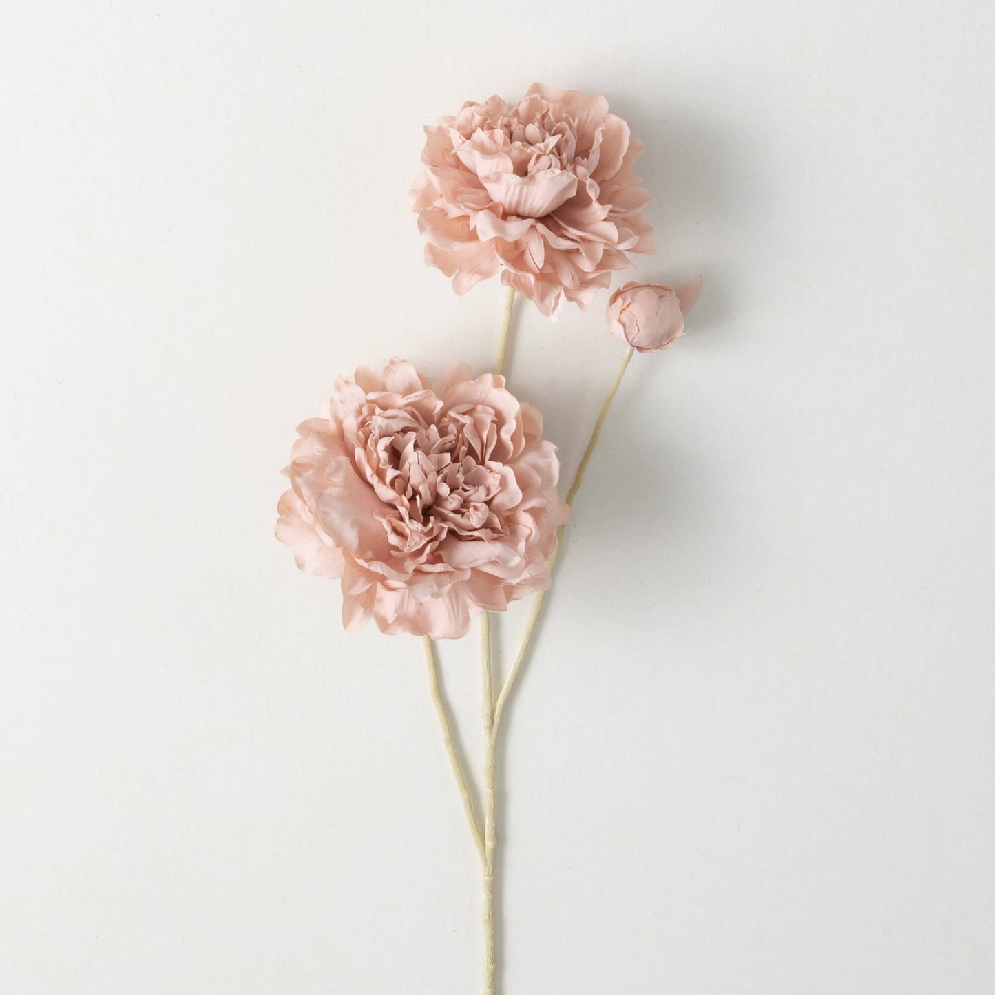 LISIANTHUS Spring Stem | Soft Mauve