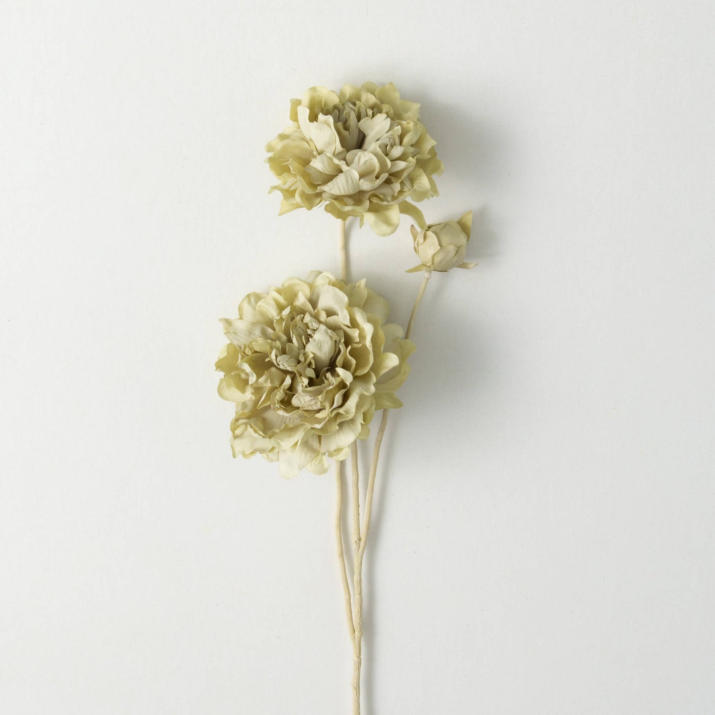 LISIANTHUS Spring Stem | Soft Green