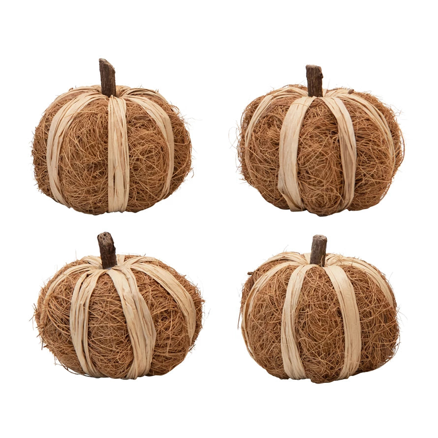 Dried Natural Coco Fiber & Raffia Pumpkin | 3"