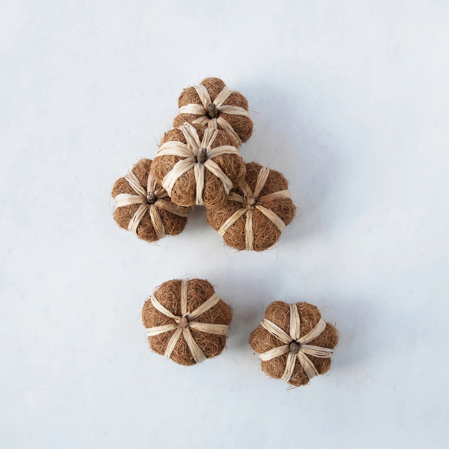 Dried Natural Coco Fiber & Raffia Pumpkin | 3"