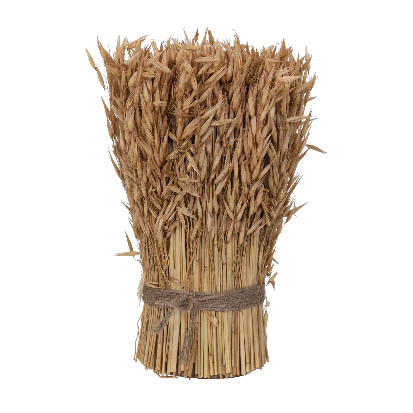 Dried Natural Harvest Grass Standing Bundle