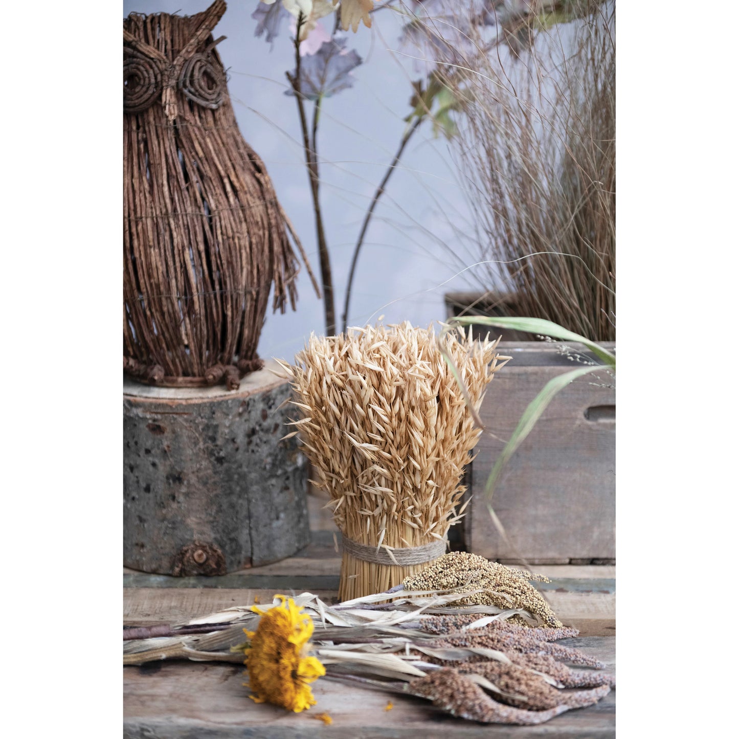 Dried Natural Harvest Grass Standing Bundle