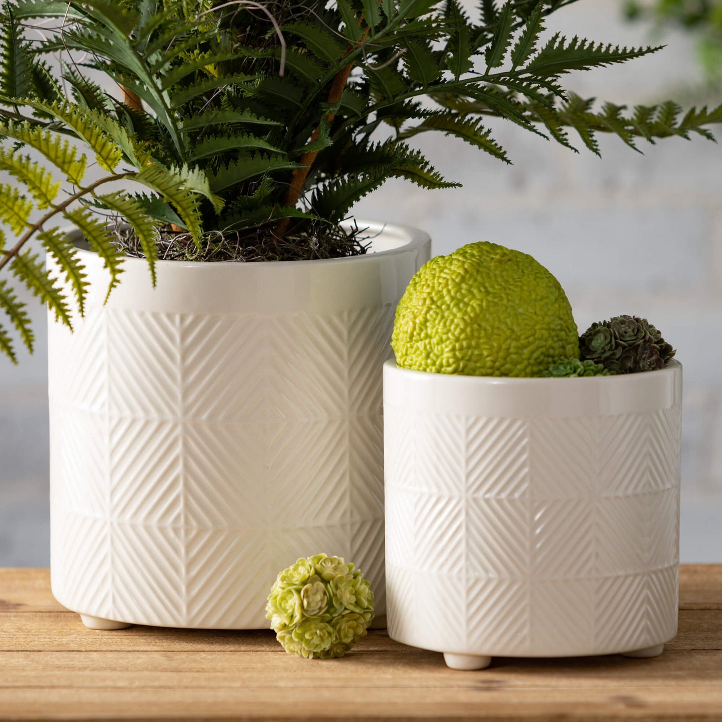 Patterned Pots | Set of 2 | White