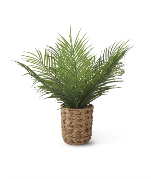 Long Fern in Woven Pot w/Faux Rocks