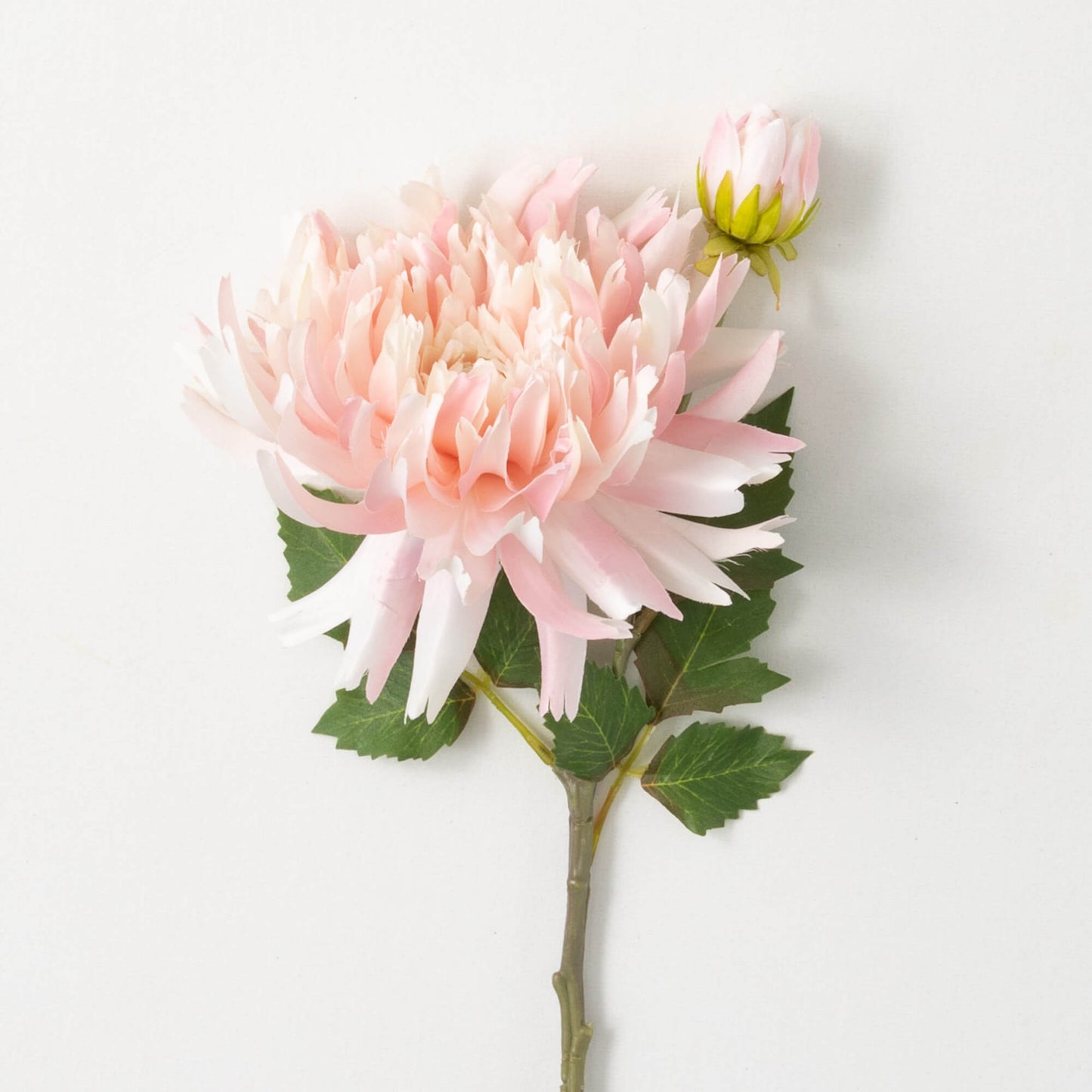 Dahlia Spray | Pale Pink