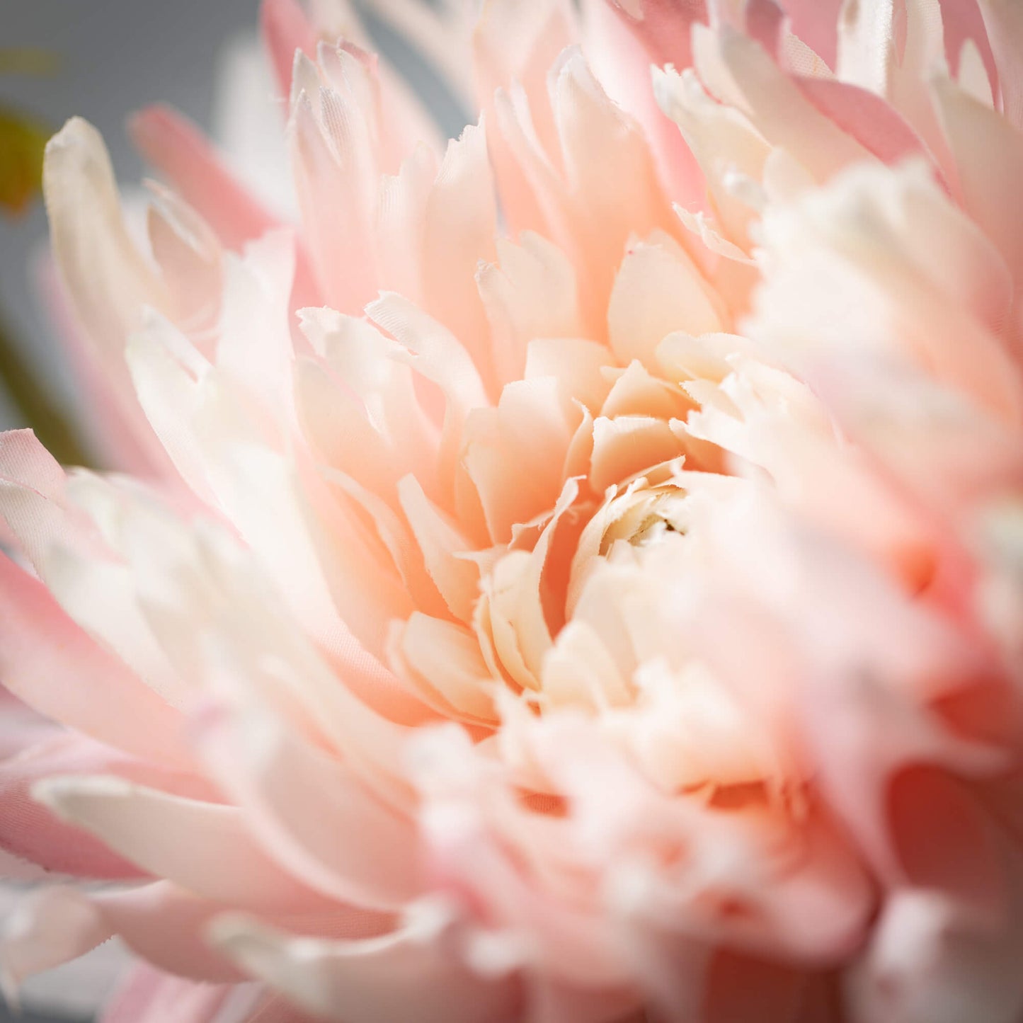 Dahlia Spray | Pale Pink