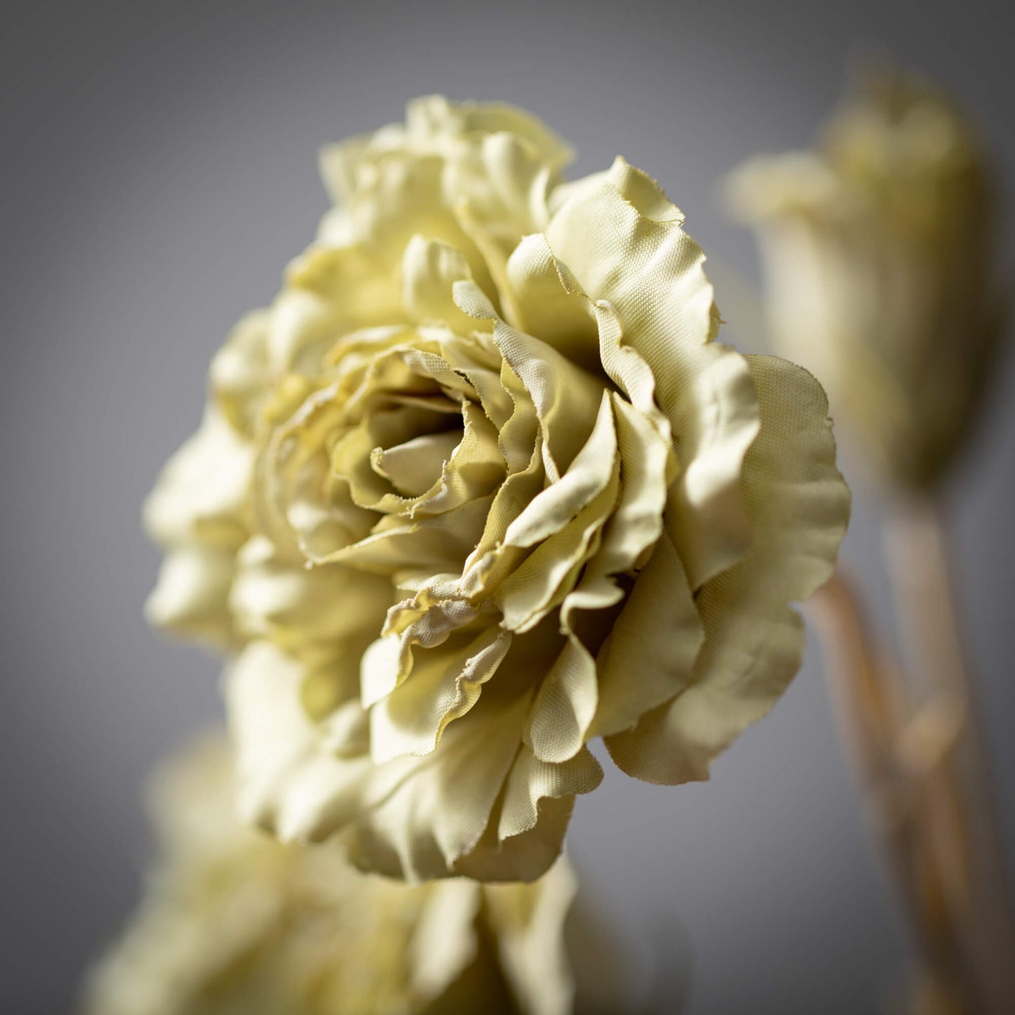 LISIANTHUS Spring Stem | Soft Green