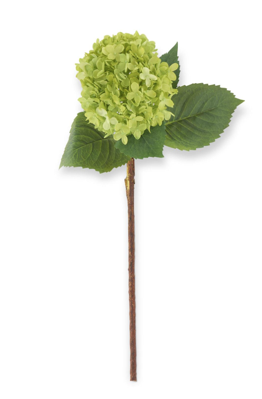 29 Inch Green Hydrangea Stem