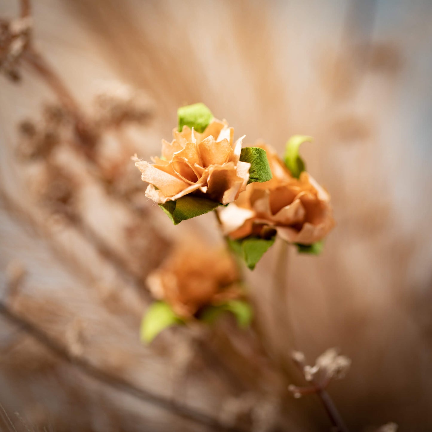 Pampus Grass Mini Wreath | 3”