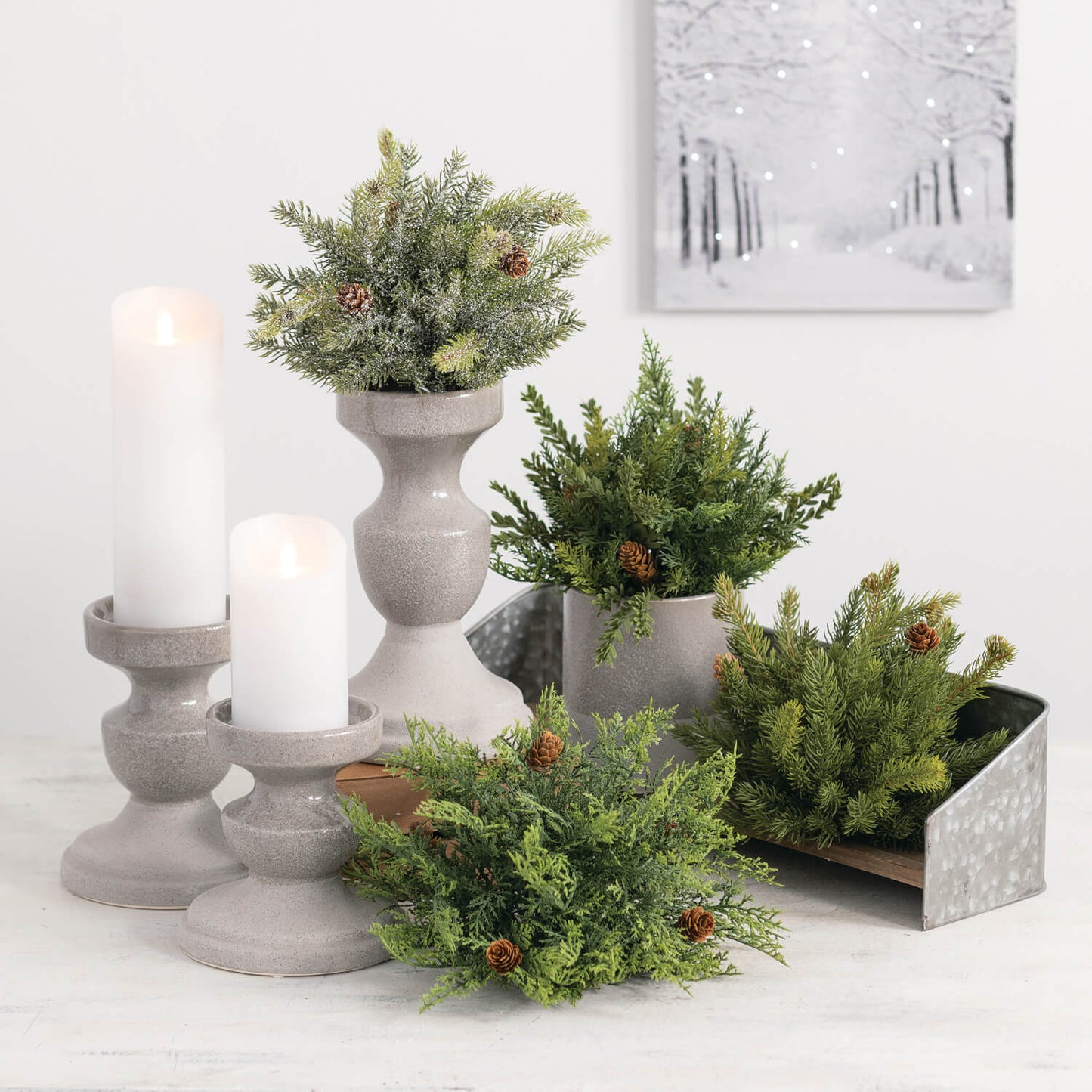 White Spruce 1/2 Orb