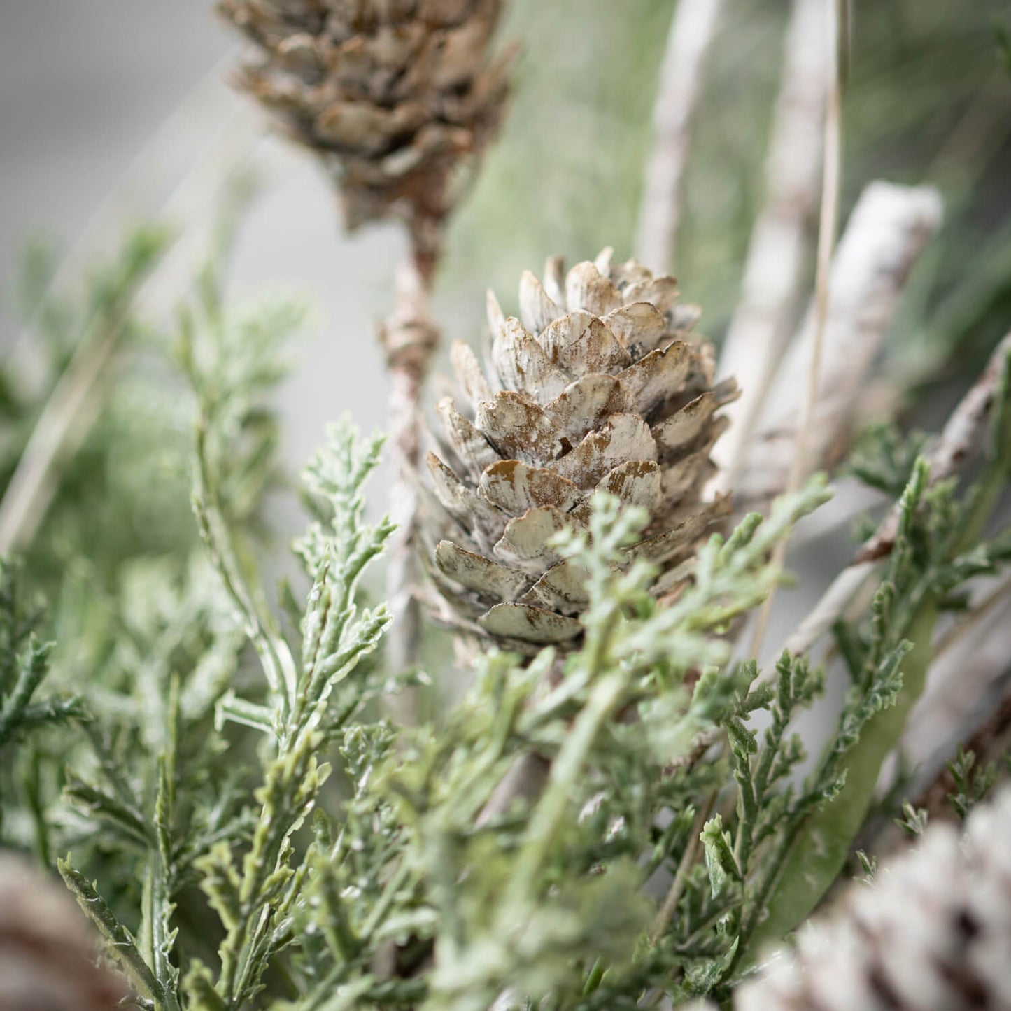 Cedar/Pine Spray