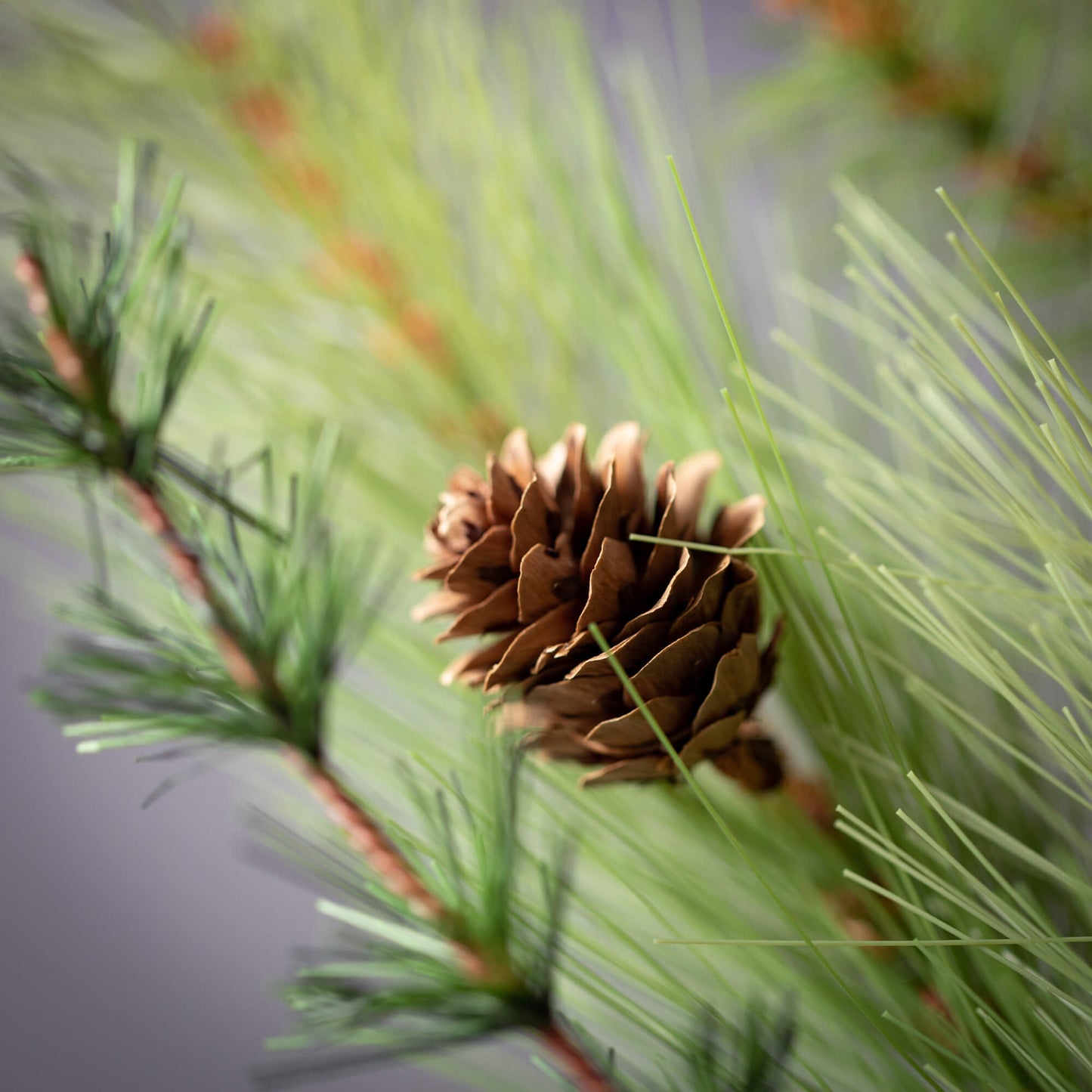 Lush Large Mixed Pine Spray | 28"