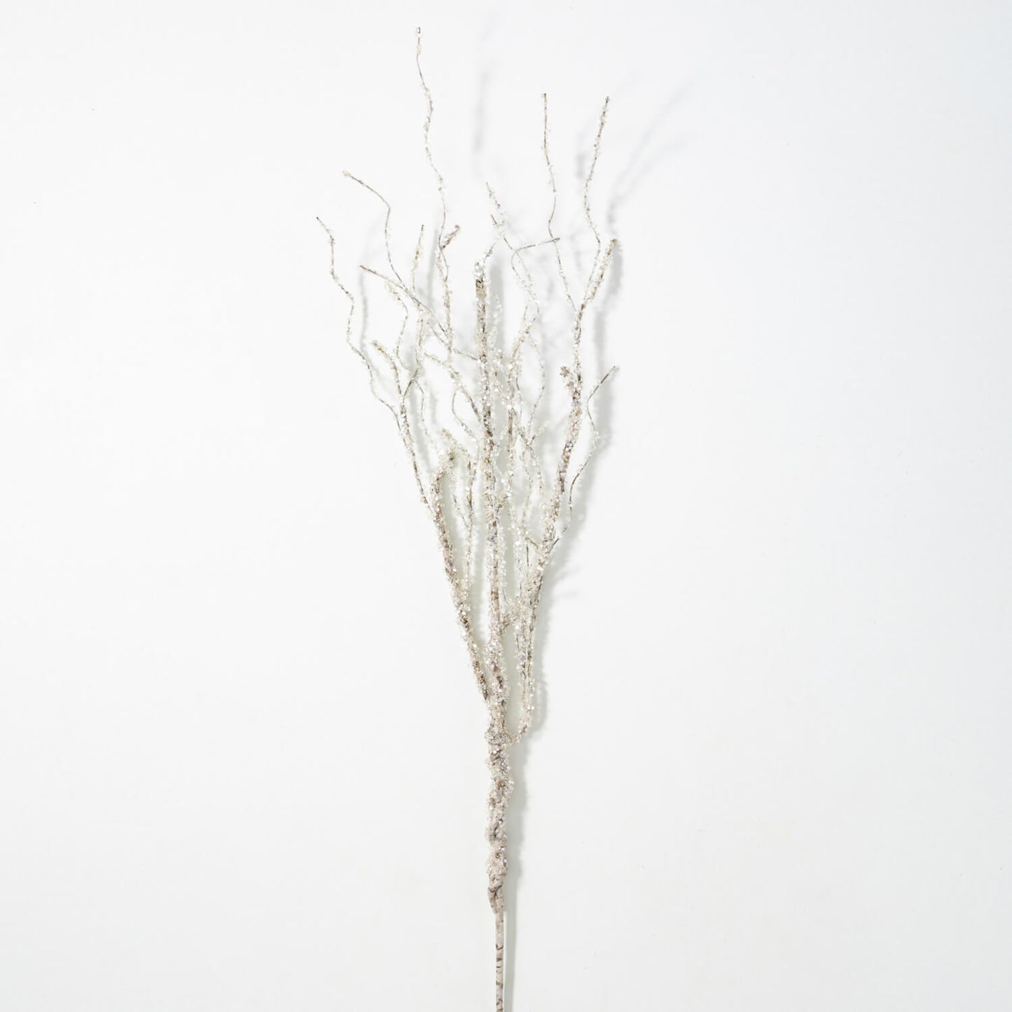 Iced Birch Stem | 36”