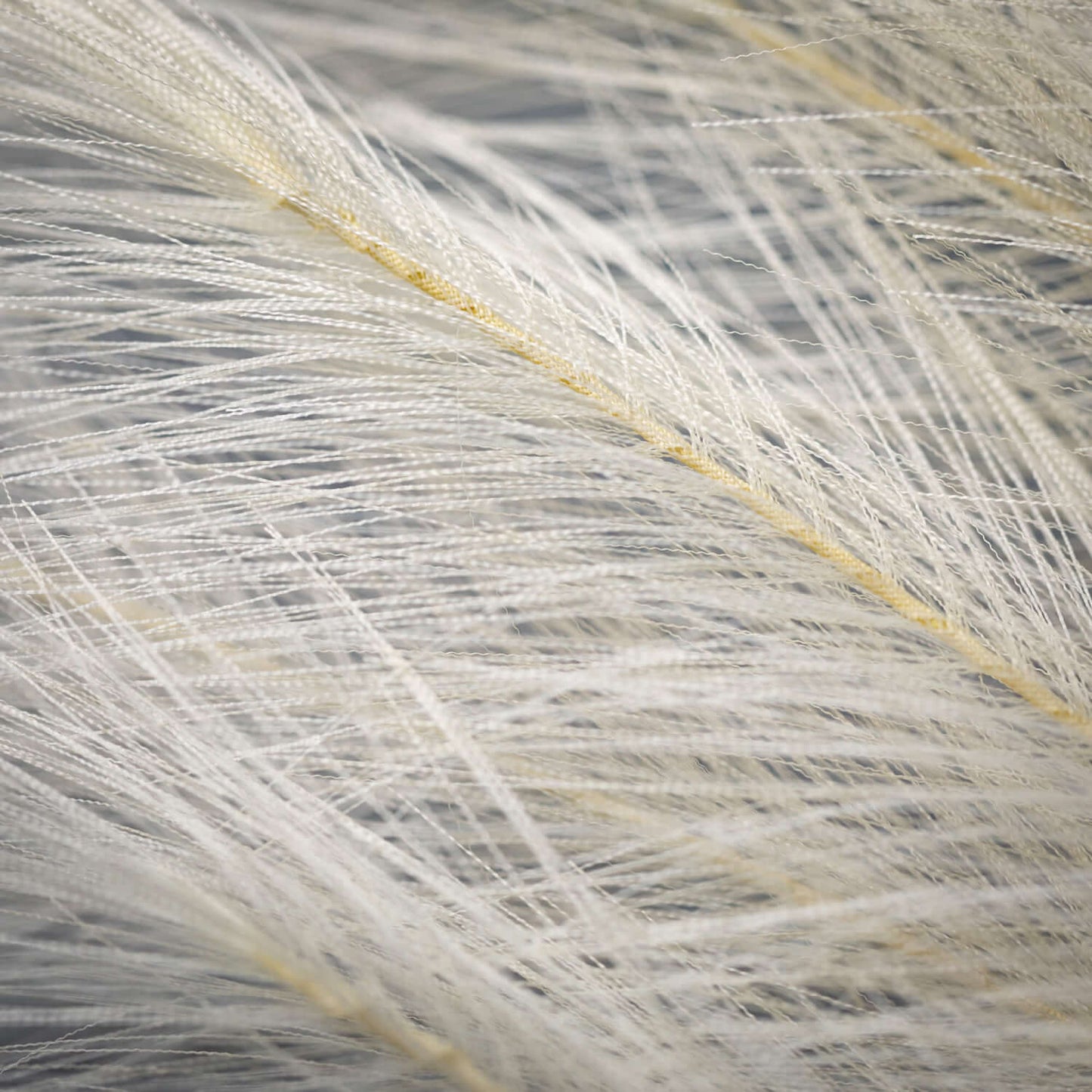 Plume Spray | Cream