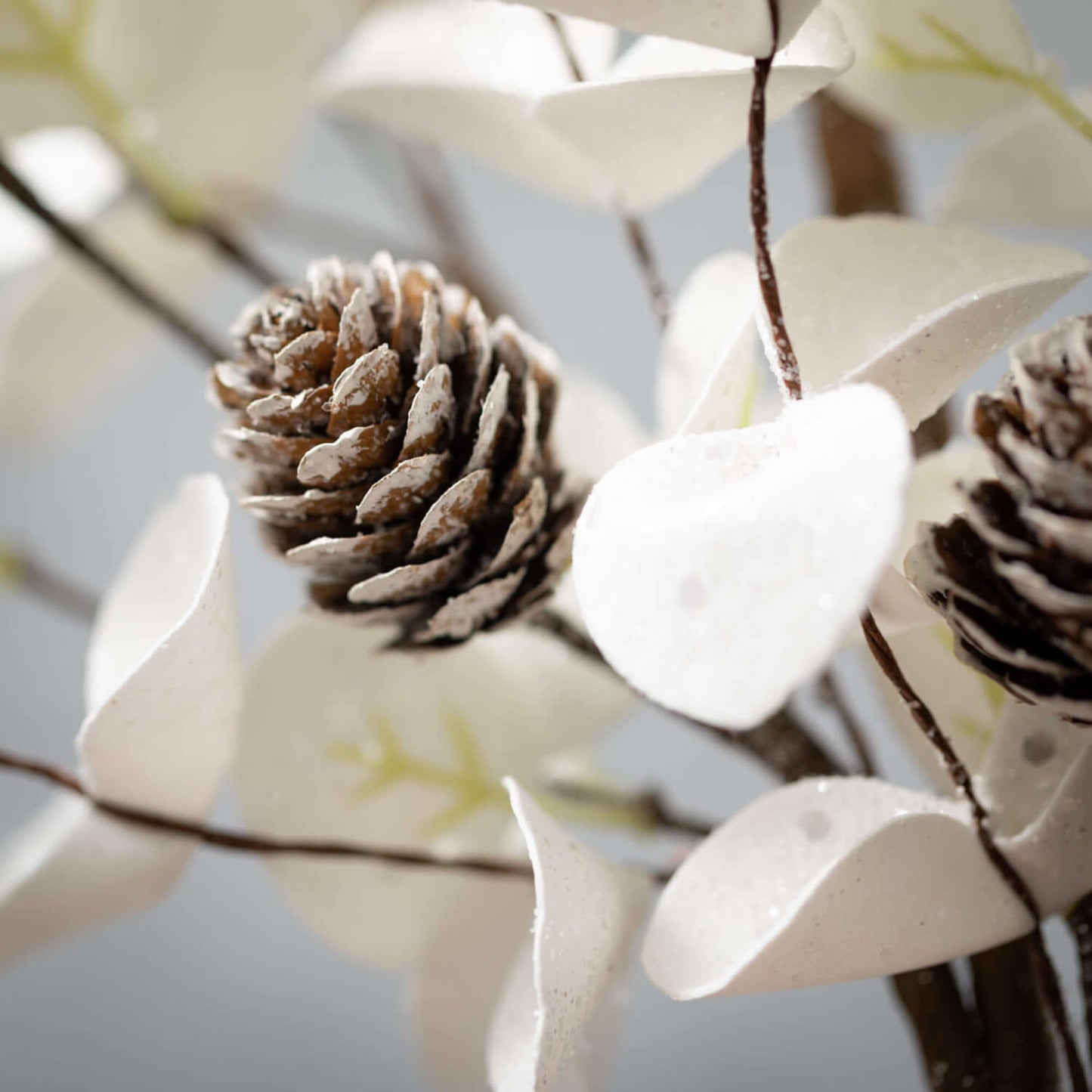 Eucalyptus/Cone Wreath