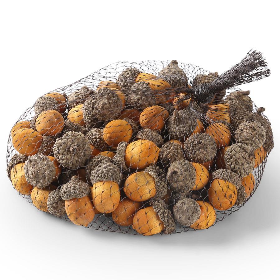 Bag of Acorns | 75 count | Yellow