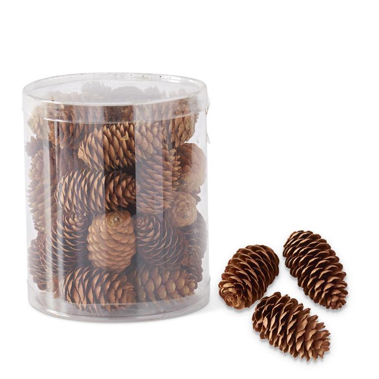 Cylinder of Long Brown Pinecone | 30-32 pc