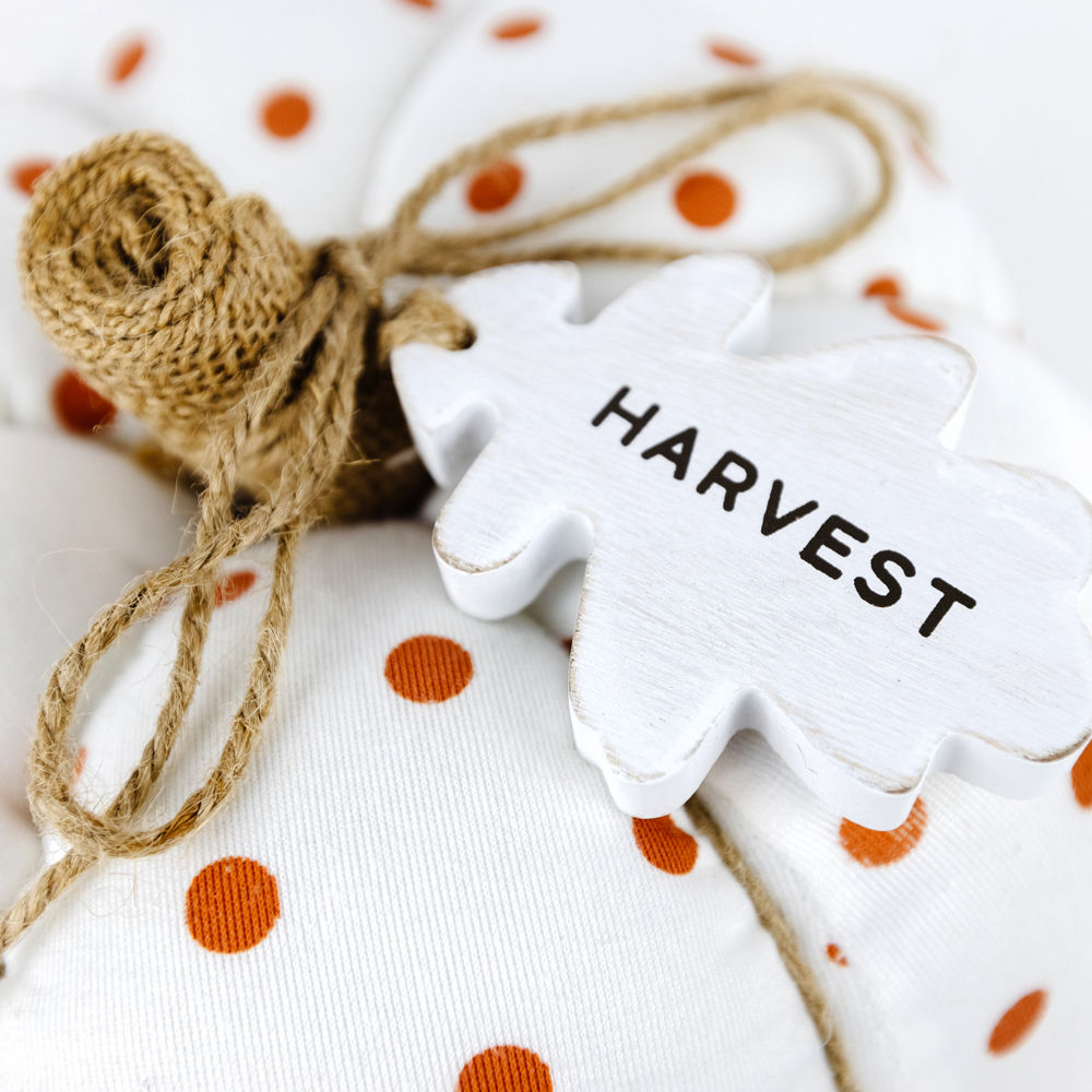 Puffy Pumpkin | Large | White & Orange Polka Dot