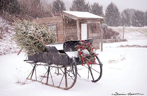Grandpa's Sleigh Artwork