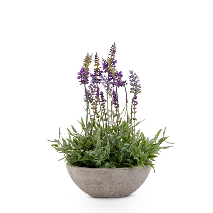 13 Inch Purple Lavender In Gray Bowl