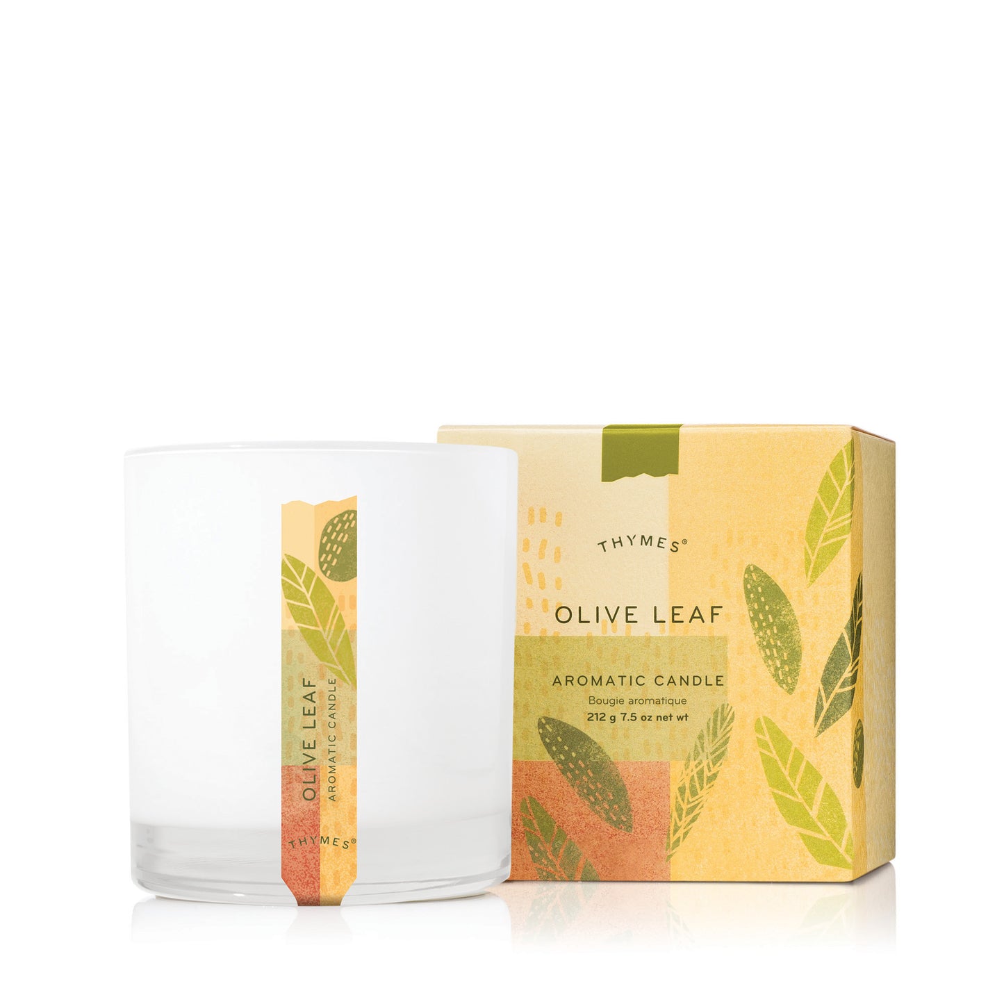 Thymes Candle 7.5 oz | Olive Leaf