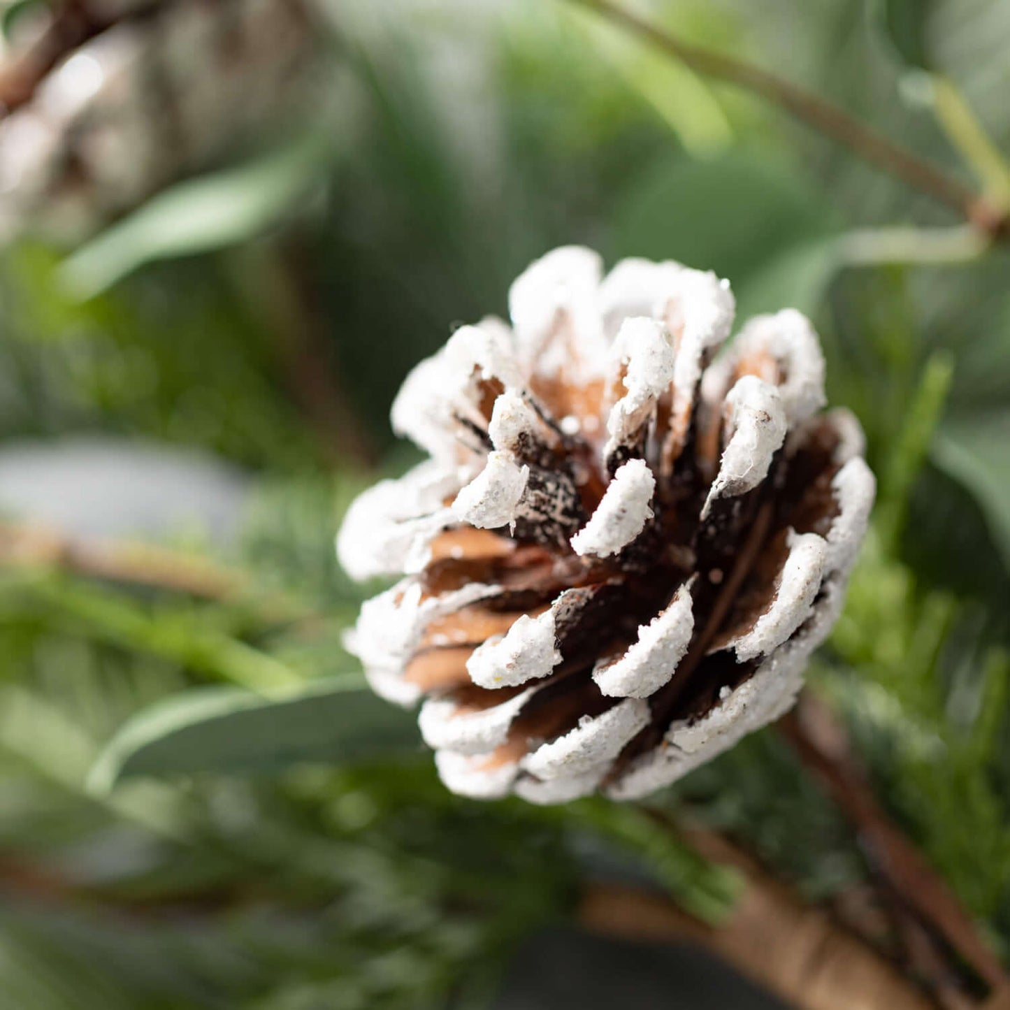 4.5" Pine/Eucalyptus Ring