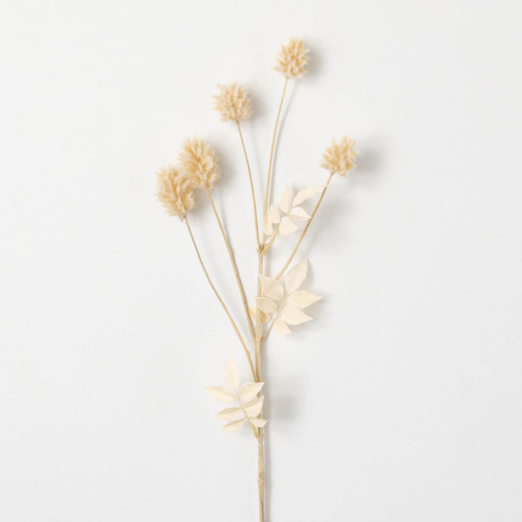 Dried Thistle Spray | Cream