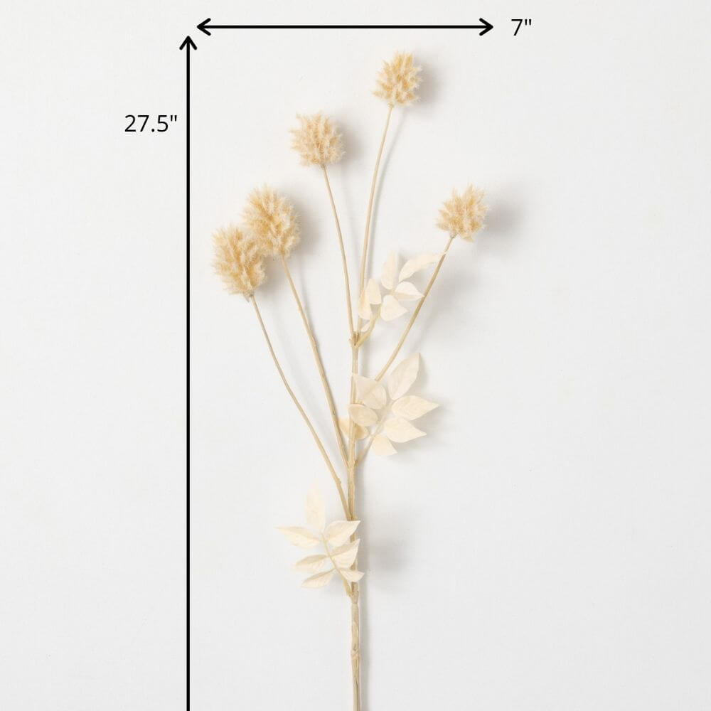 Dried Thistle Spray | Cream