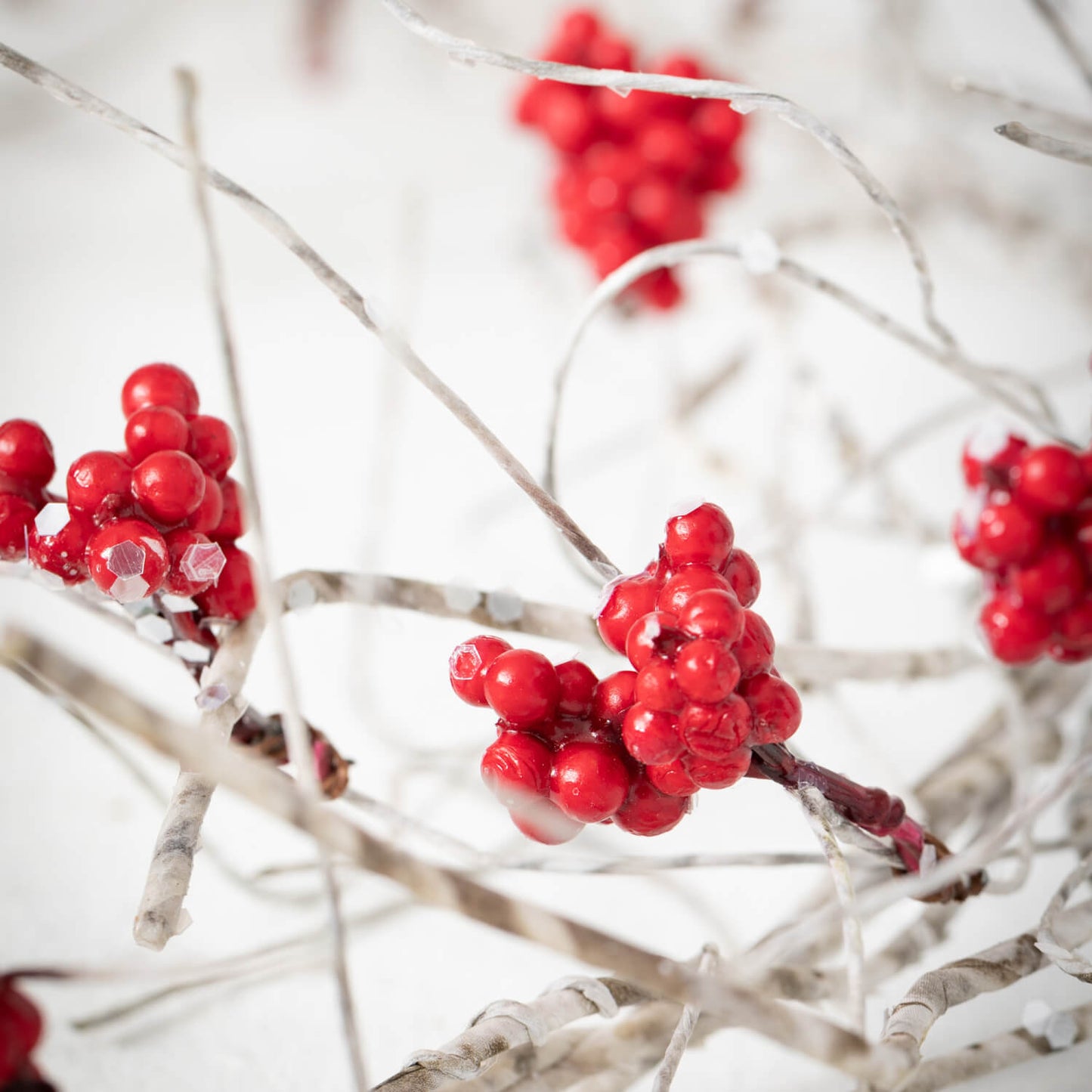 Berry/Birch Twig Garland | Red