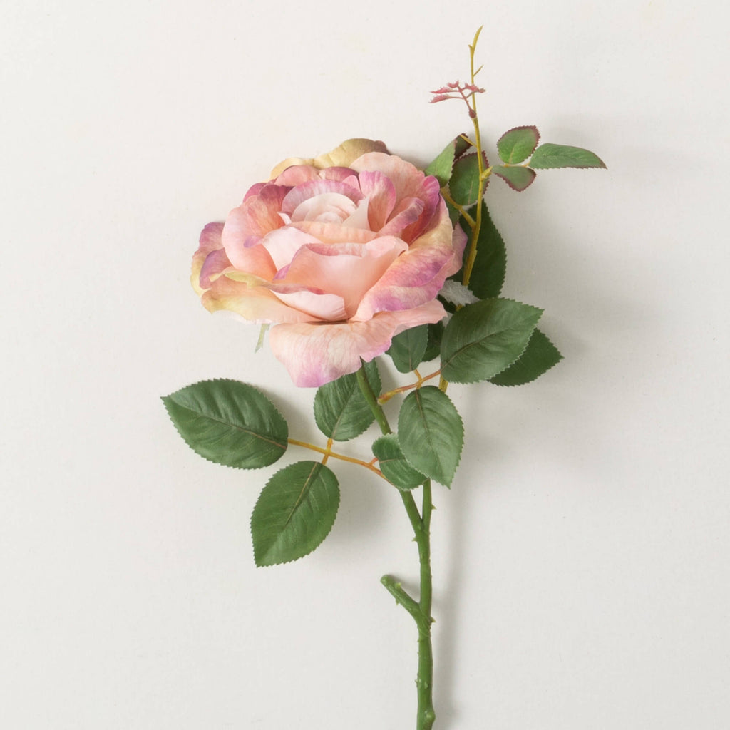 ROSE SPRAY