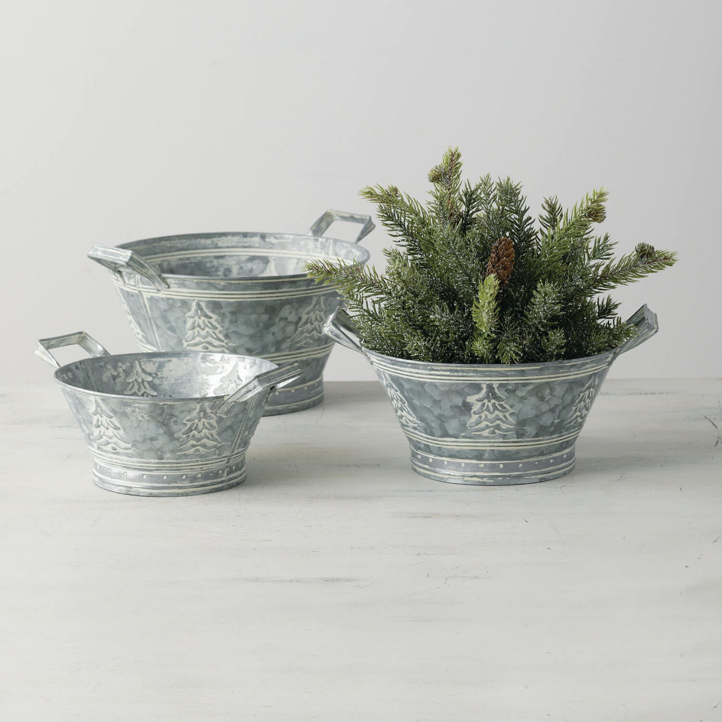 White Spruce 1/2 Orb
