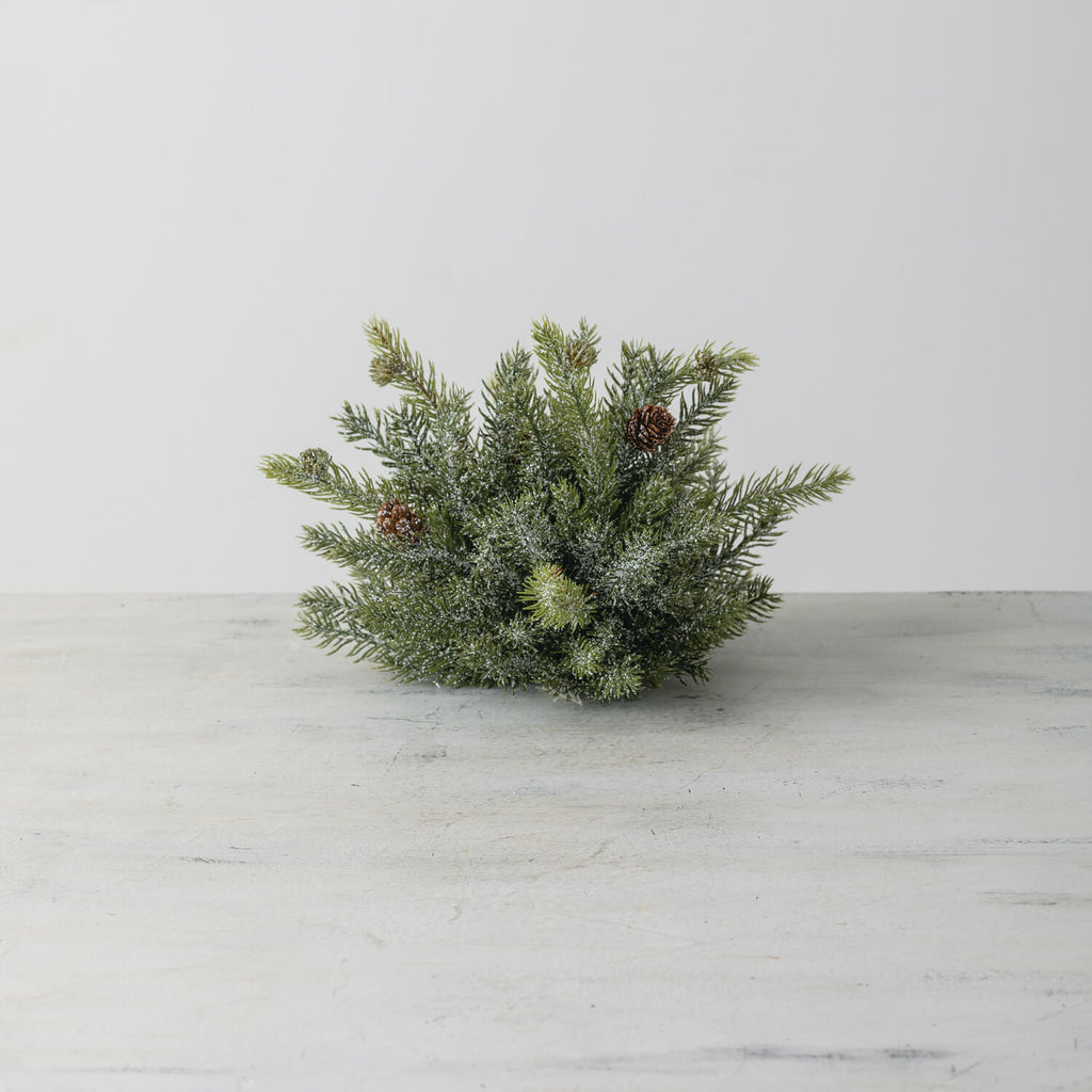 White Spruce 1/2 Orb