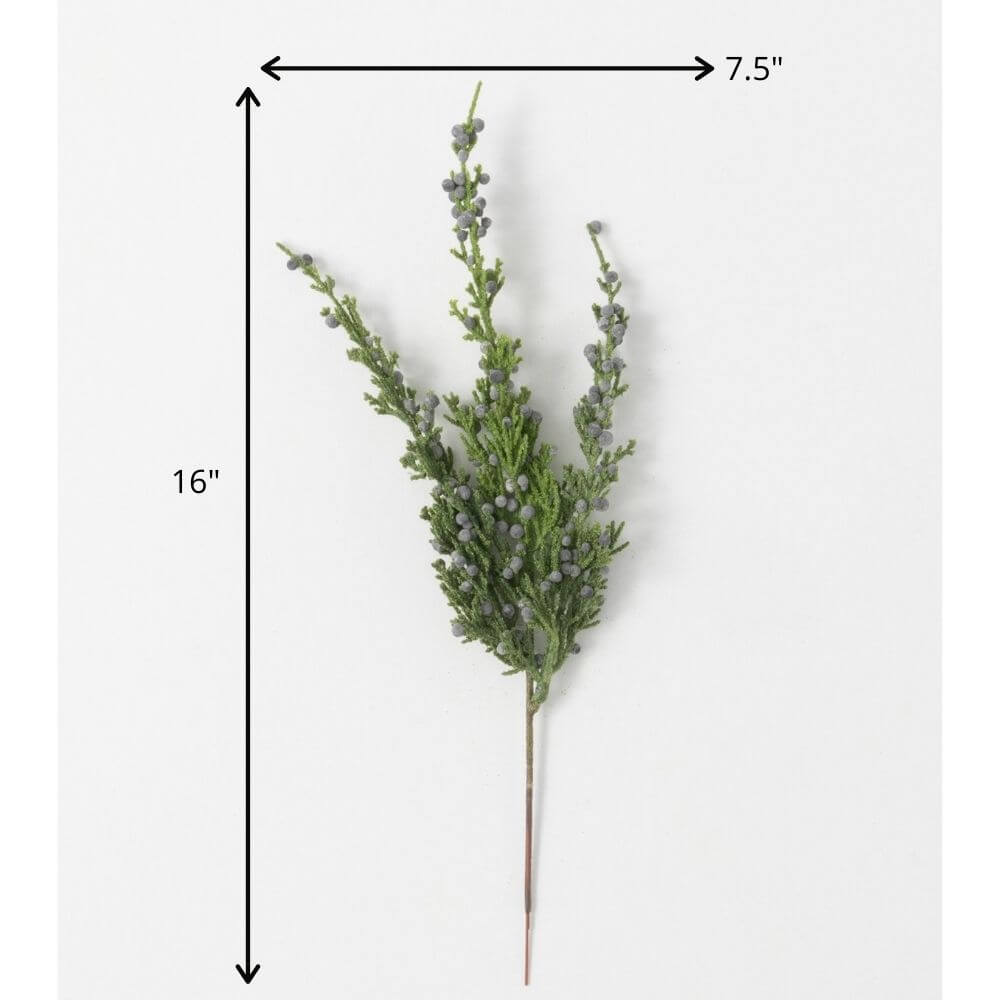 Juniper & Blue Berry Spray