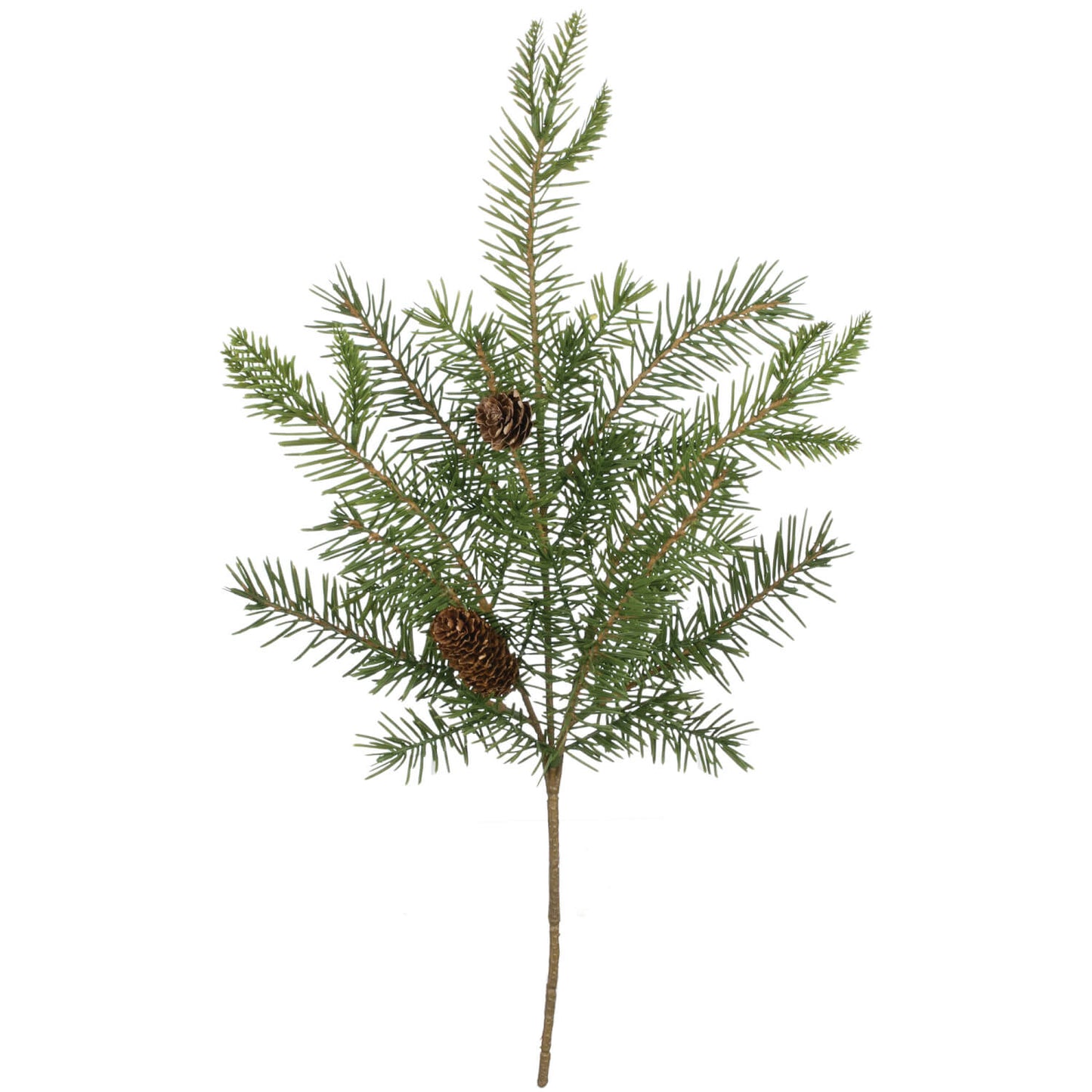 Douglas Fir Pick