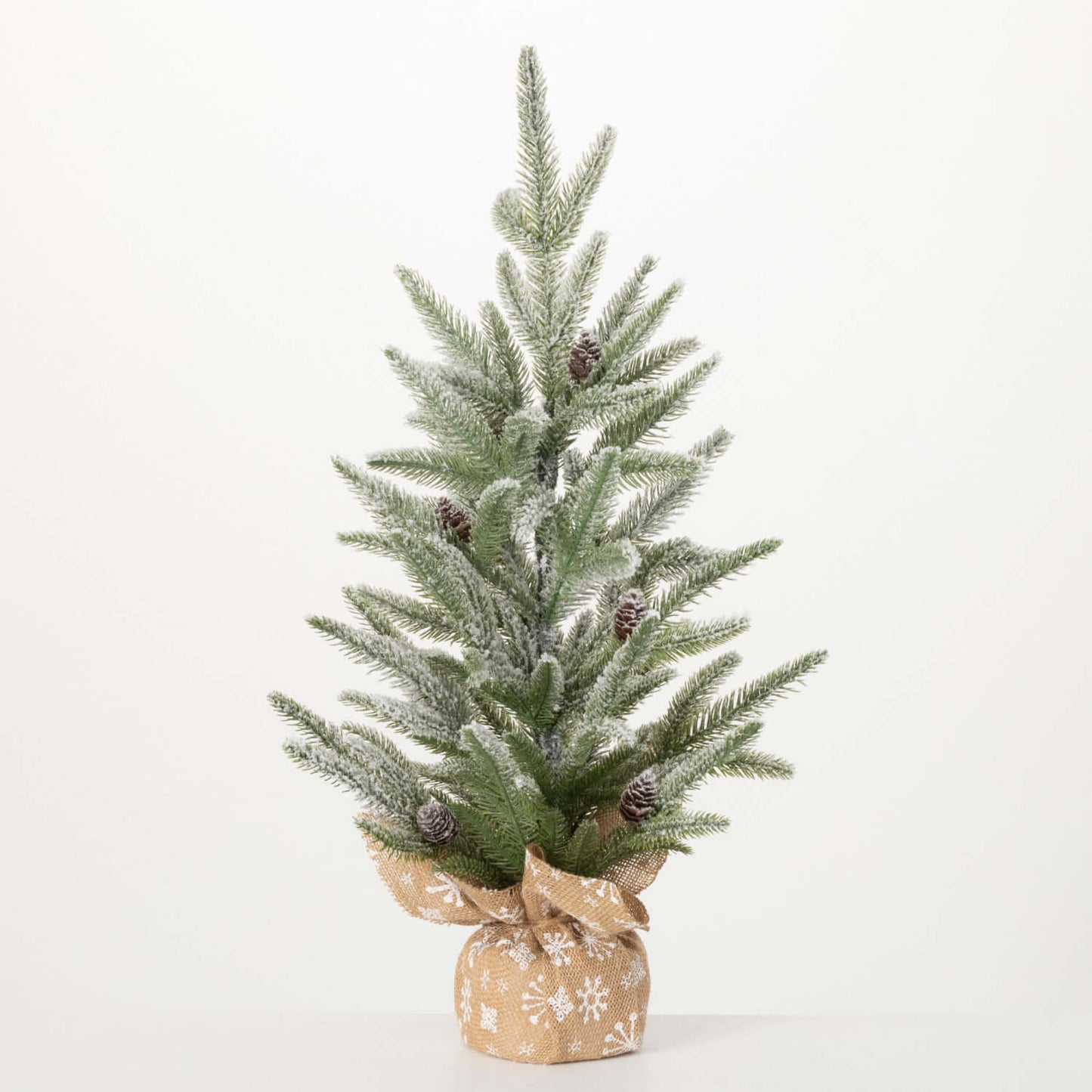 Pine Tree in Burlap Sack