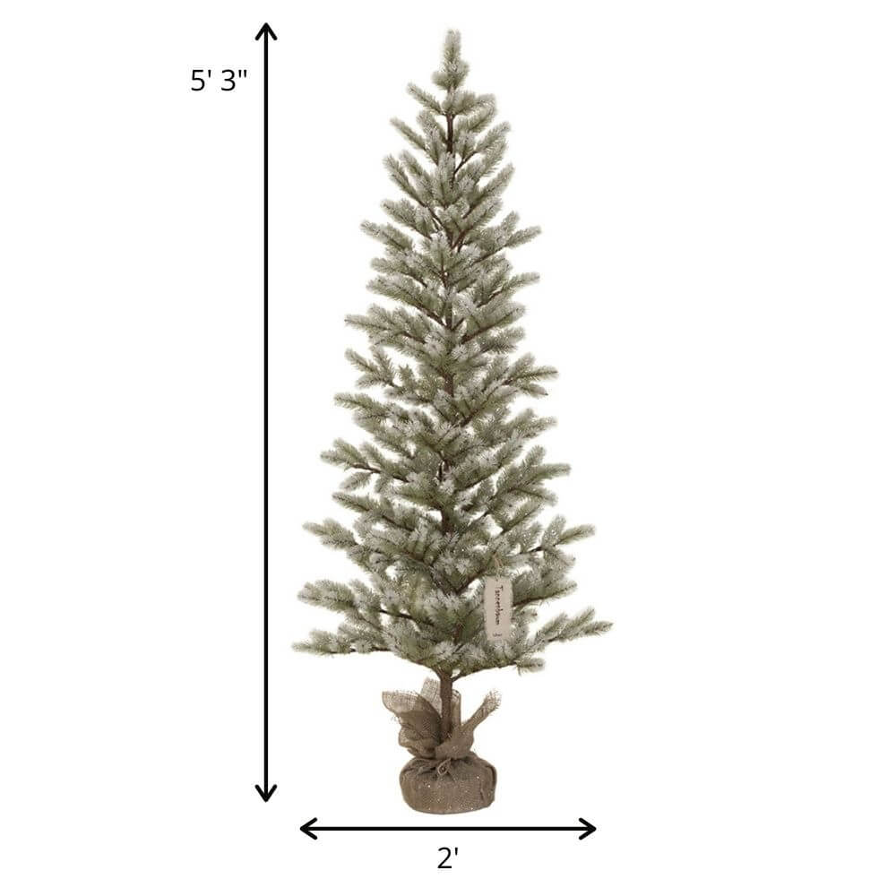 Frosted Pine Tree | 4'2"